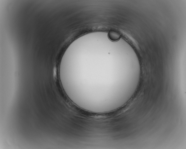 X0000116390067200912021014