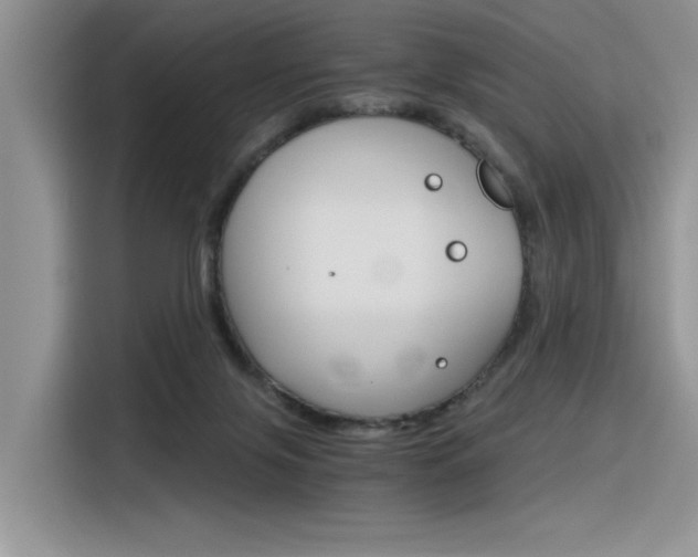 X0000116390071200912021014