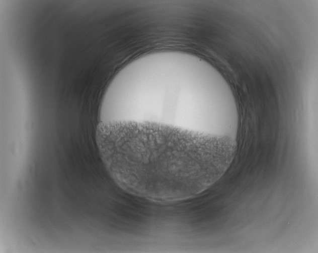 X0000116390075200912021014