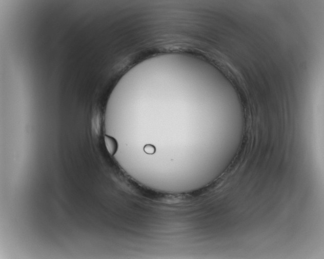 X0000116390076200912021014