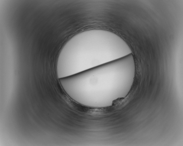 X0000116390082200912021014