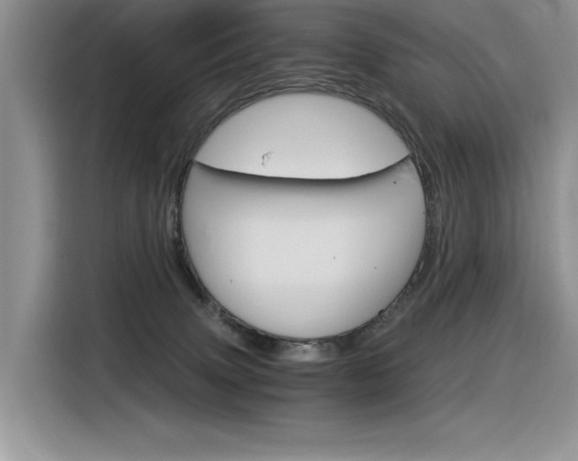 X0000116390083200912021014