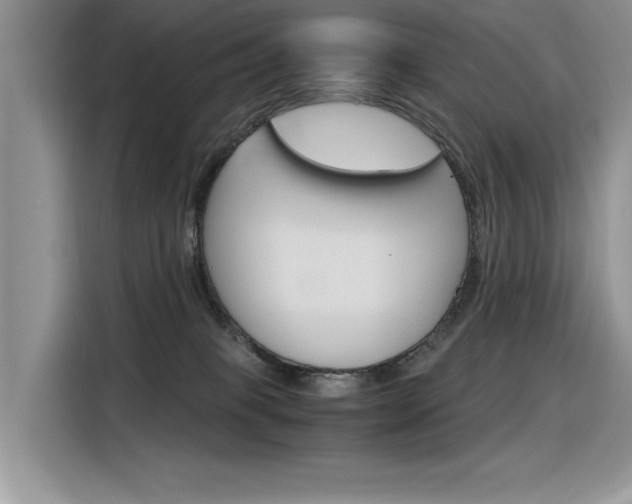 X0000116390085200912021014