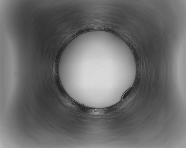 X0000116390088200912021014