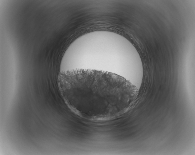 X0000116390089200912021014
