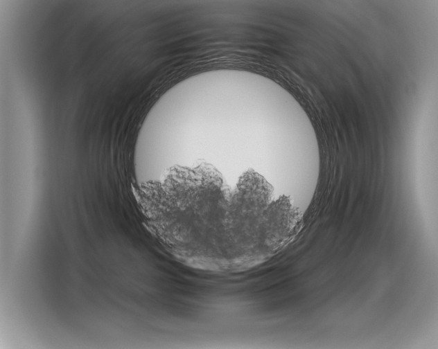 X0000116390091200912021014