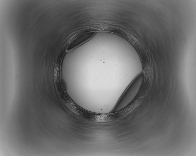 X0000116390092200912021014