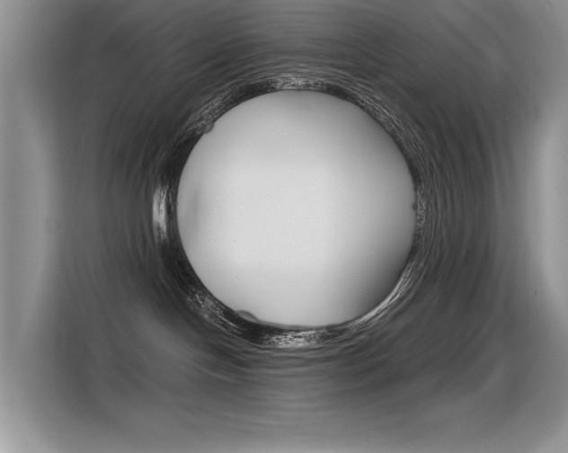X0000116390094200912021014