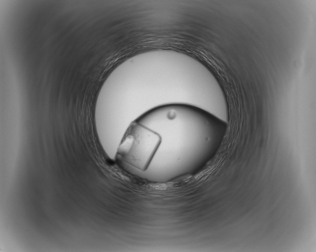 X0000116390096200912021015