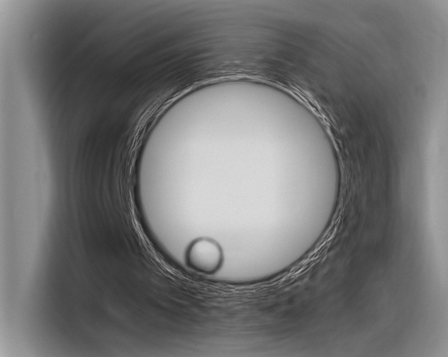 X0000116390097200912021014
