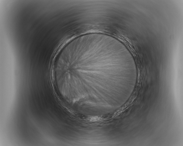 X0000116390098200912021014