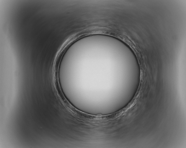 X0000116390101200912021014