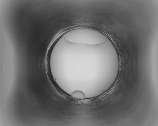 X0000116390102200912021014