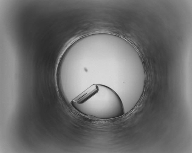X0000116390104200912021014