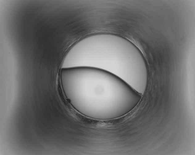 X0000116390109200912021014