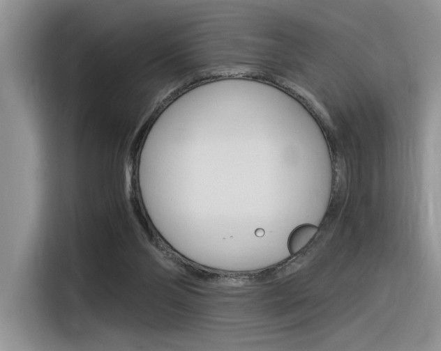 X0000116390110200912021014