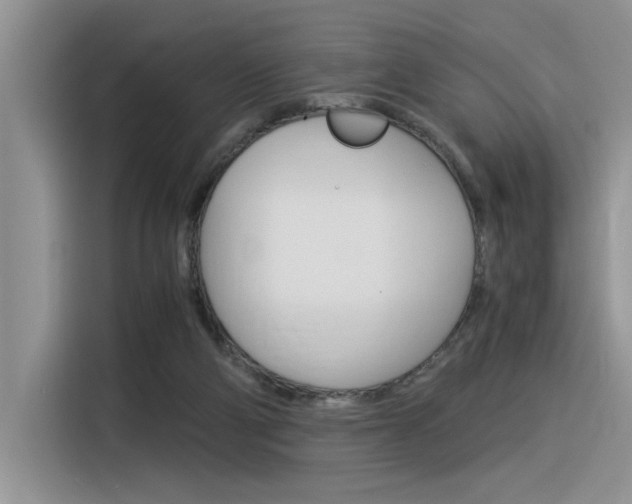 X0000116390114200912021014