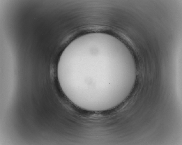 X0000116390119200912021014