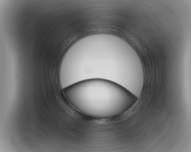X0000116390120200912021014