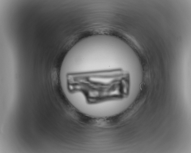 X0000116390121200912021014
