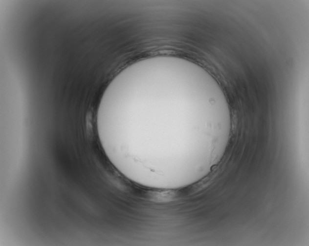X0000116390122200912021014