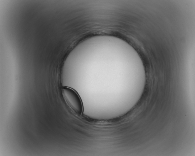 X0000116390123200912021014