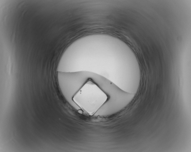 X0000116390125200912021014