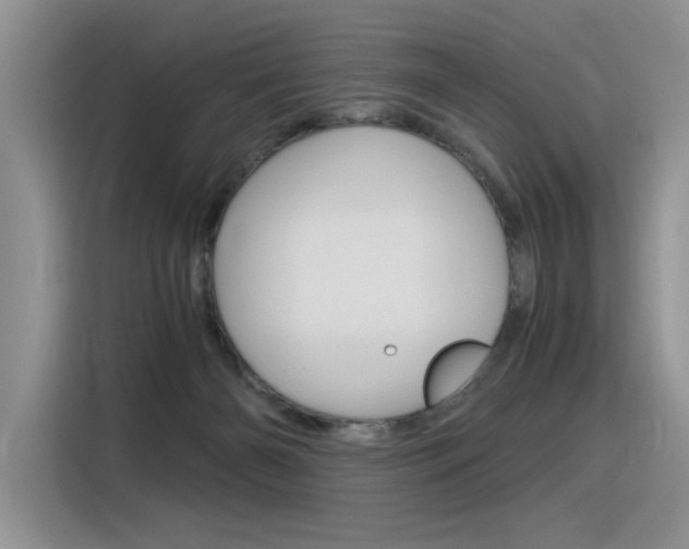 X0000116390126200912021014