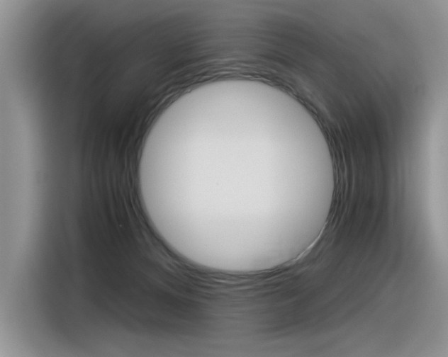 X0000116390128200912021013