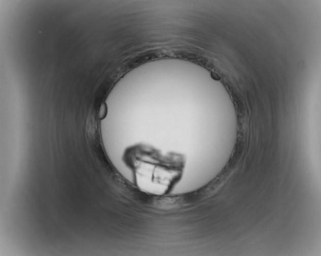 X0000116390129200912021013