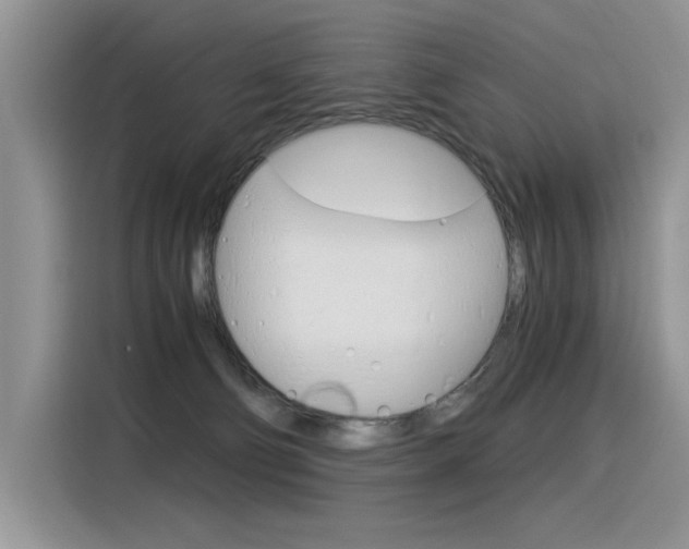 X0000116390130200912021013