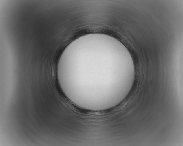 X0000116390131200912021013