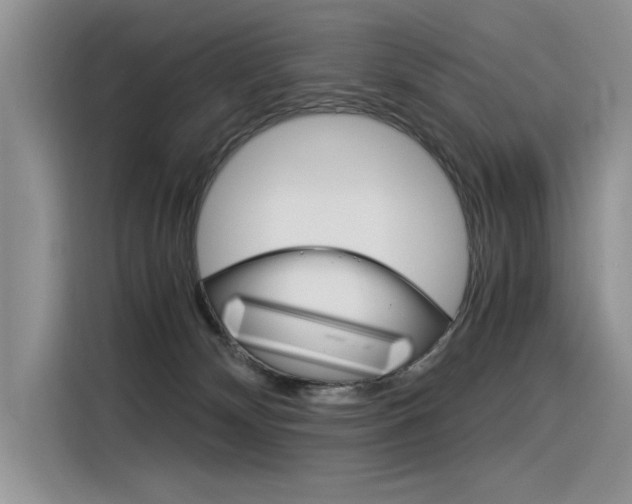 X0000116390132200912021013