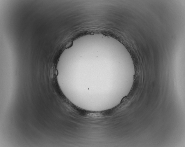 X0000116390133200912021013