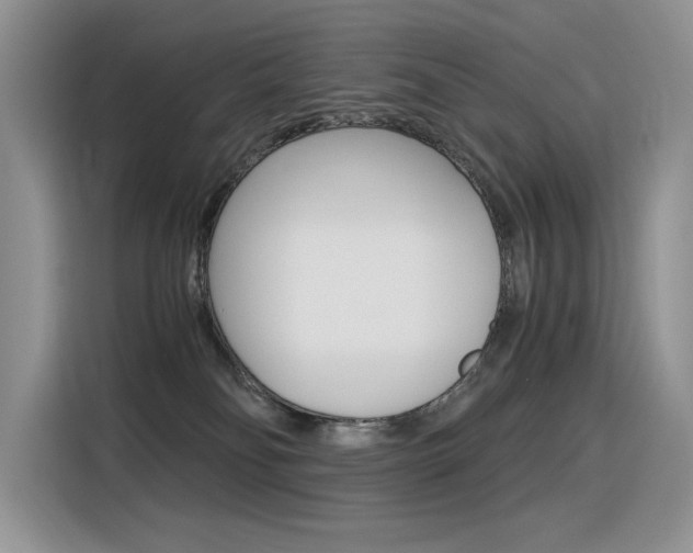 X0000116390134200912021013