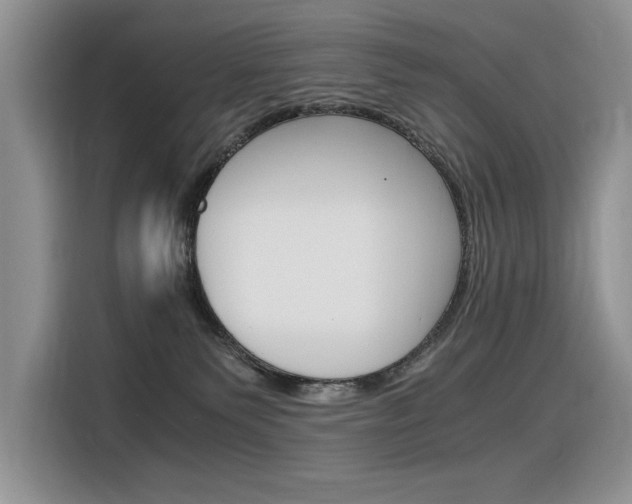 X0000116390135200912021013