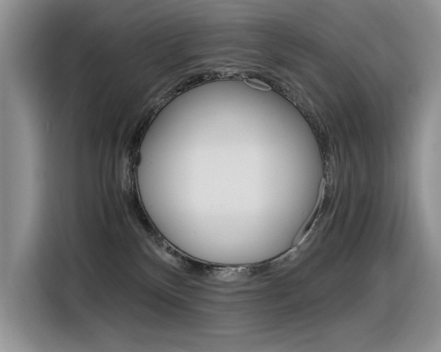 X0000116390136200912021013