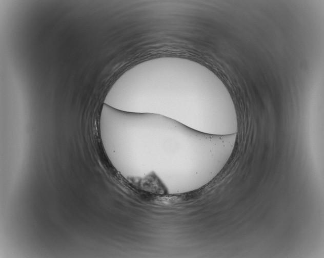 X0000116390137200912021013