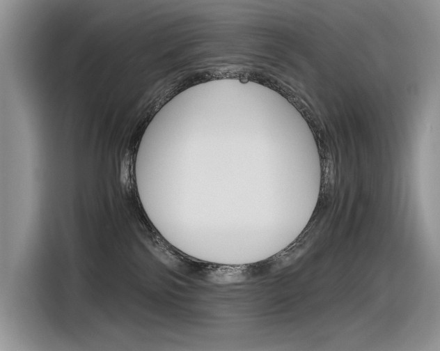 X0000116390138200912021013