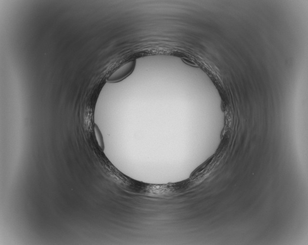 X0000116390141200912021013