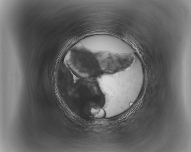 X0000116390145200912021013
