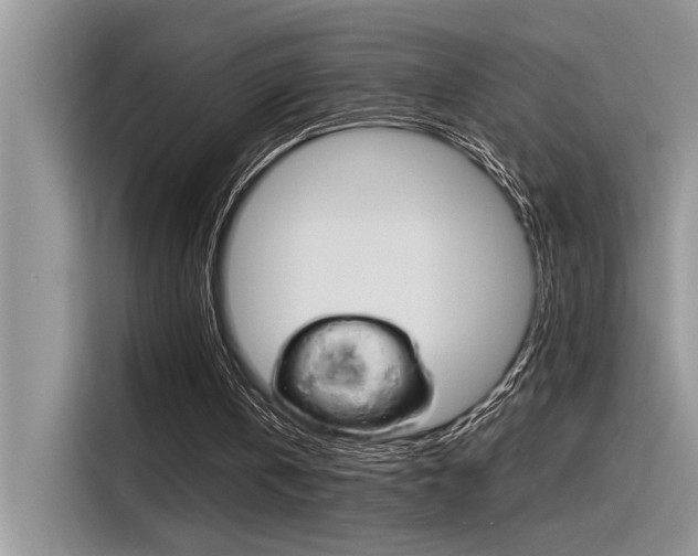 X0000116390146200912021013
