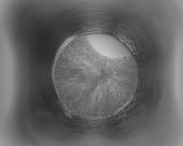 X0000116390147200912021013