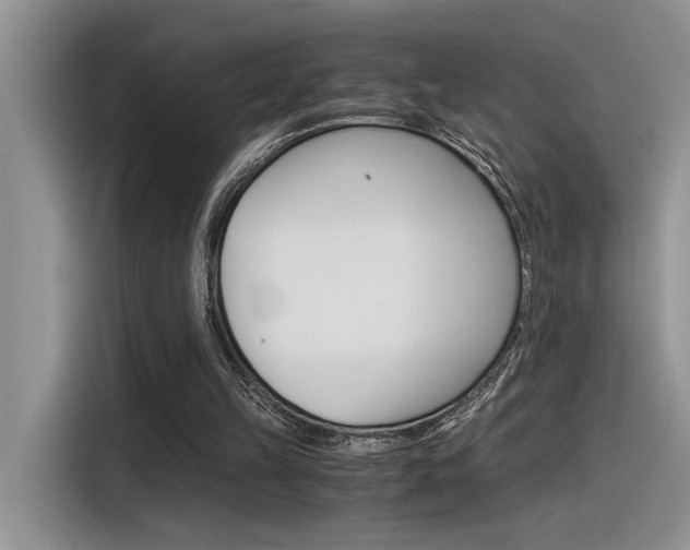 X0000116390149200912021013