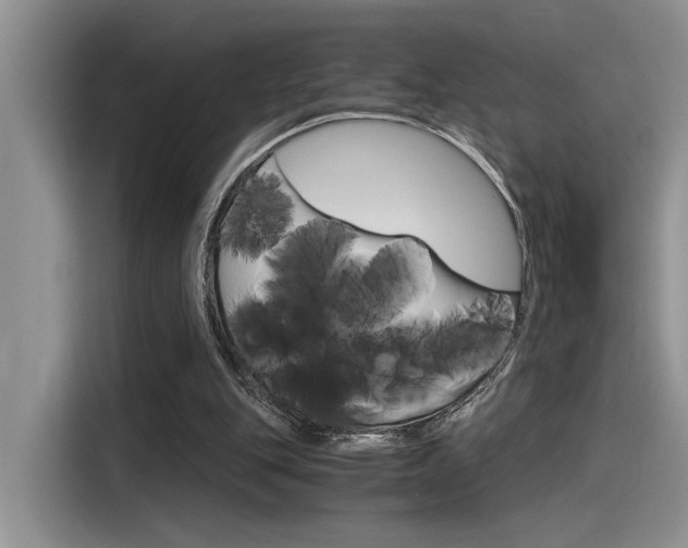 X0000116390151200912021013