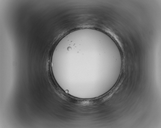 X0000116390153200912021013