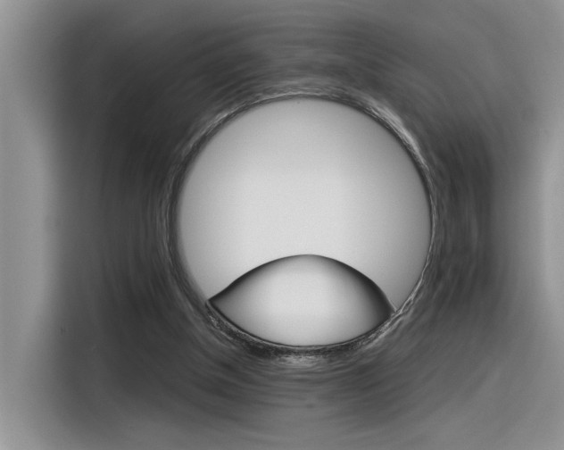 X0000116390154200912021013