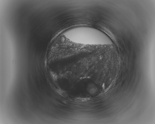 X0000116390155200912021013
