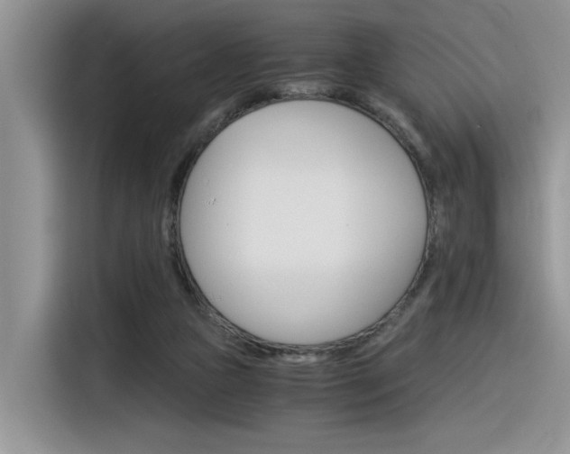 X0000116390161200912021013