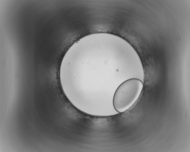 X0000116390162200912021013
